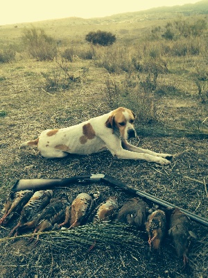 Des Sources De Jade - Journée de chasse